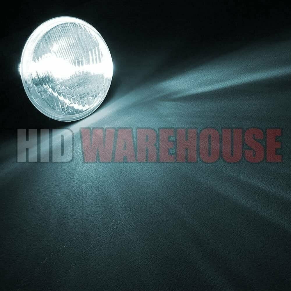 HID-Warehouse HID Xenon Bulbs – D2S / D2R / D2C – 6000K Light Blue (1 Pair)