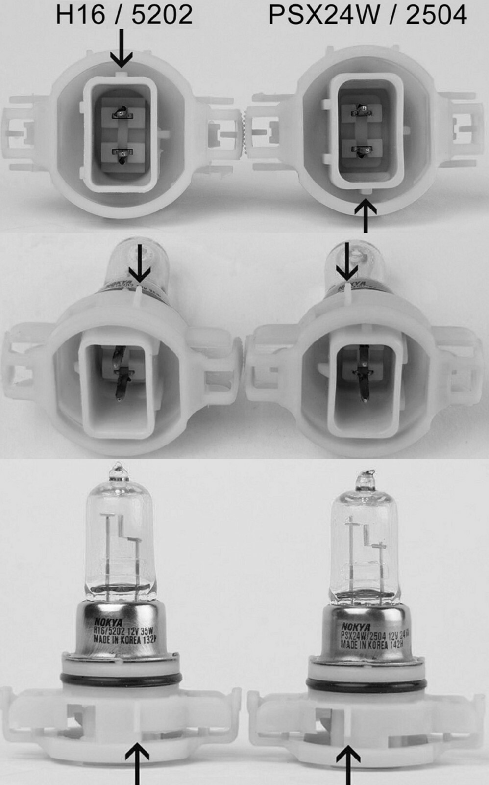 Halogen PS24W FF 5202 H16 24W 3800K Stock Two Bulbs Fog Light Replacement Lamp