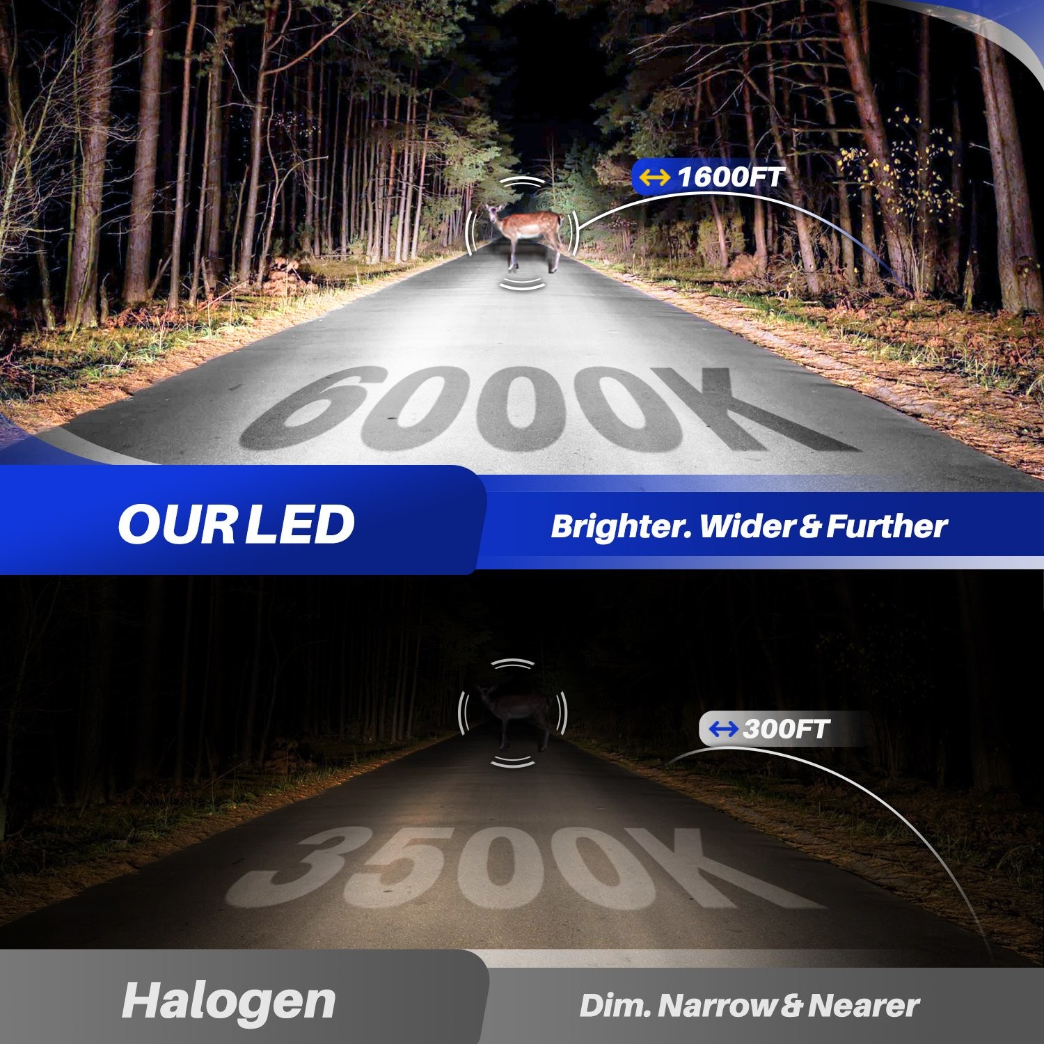 H11/H8/H9 White 6500K 24000LM LED Headlight Bulbs High Low Beam Canbus 2-20X 20S