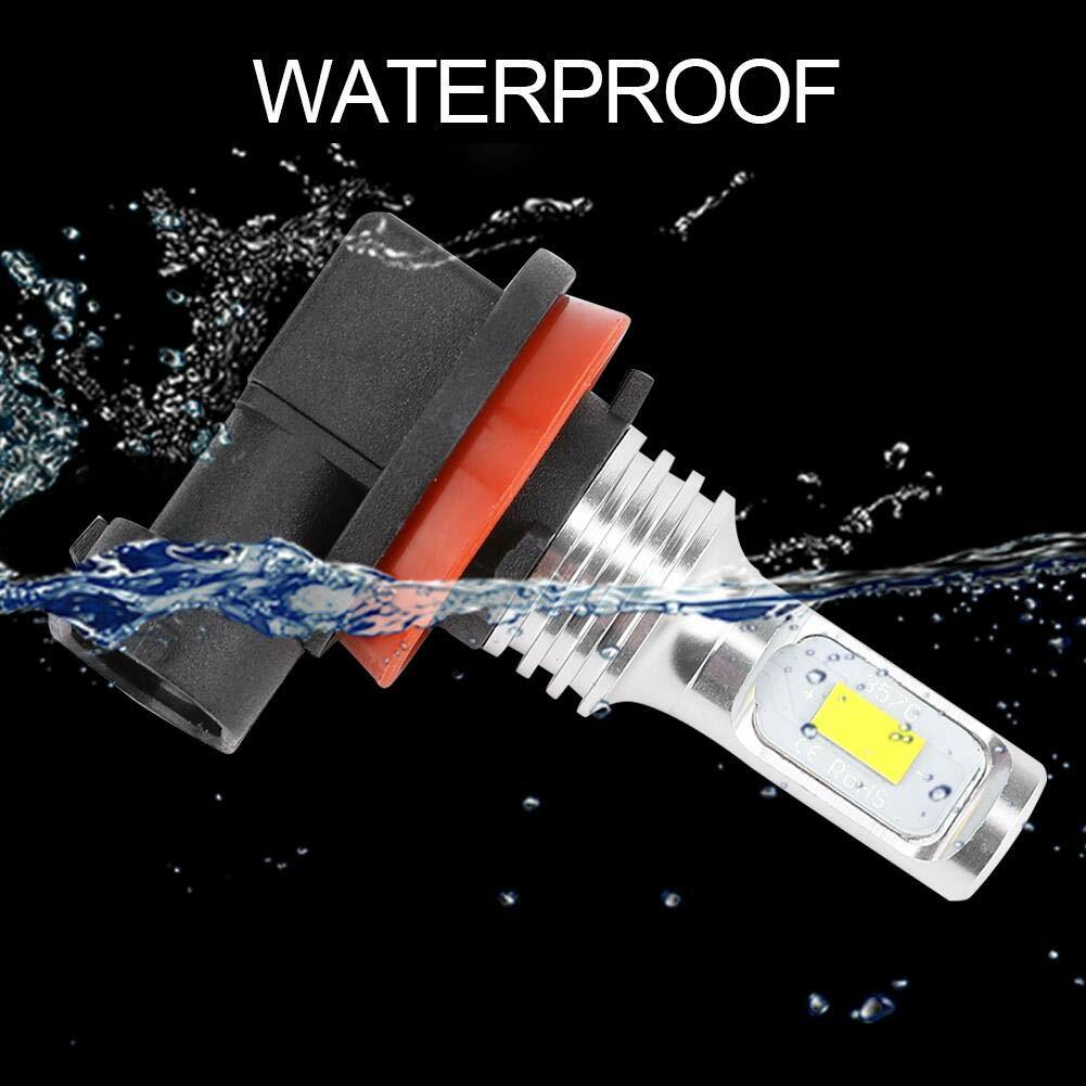 H11 LED Headlight Super Bright Bulbs Kit 6000K White 8000LM HIGH/LOW Beam