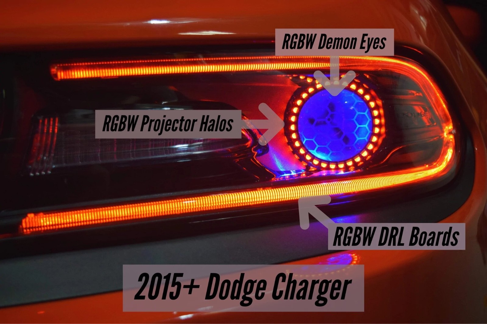 Lighting Trendz Dodge Charger RGBW DRL Boards – Full Color-Changing DRL Kit