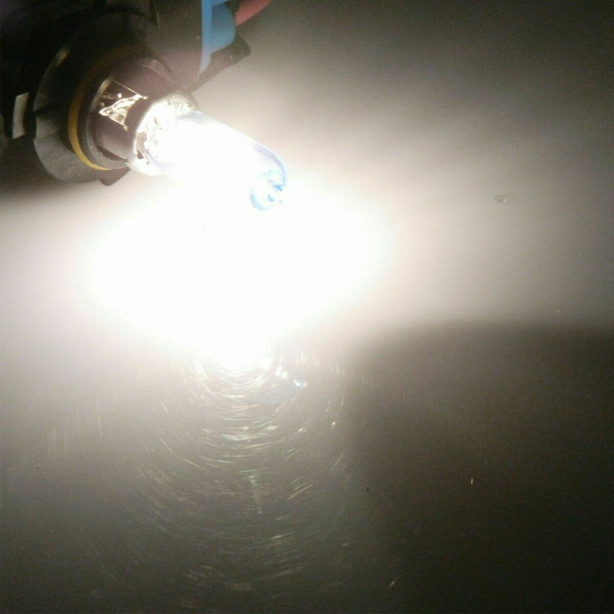 2PCS H11 55W 12V Halogen Low Beam Headlight Fog Driving Light Bulbs Xenon White