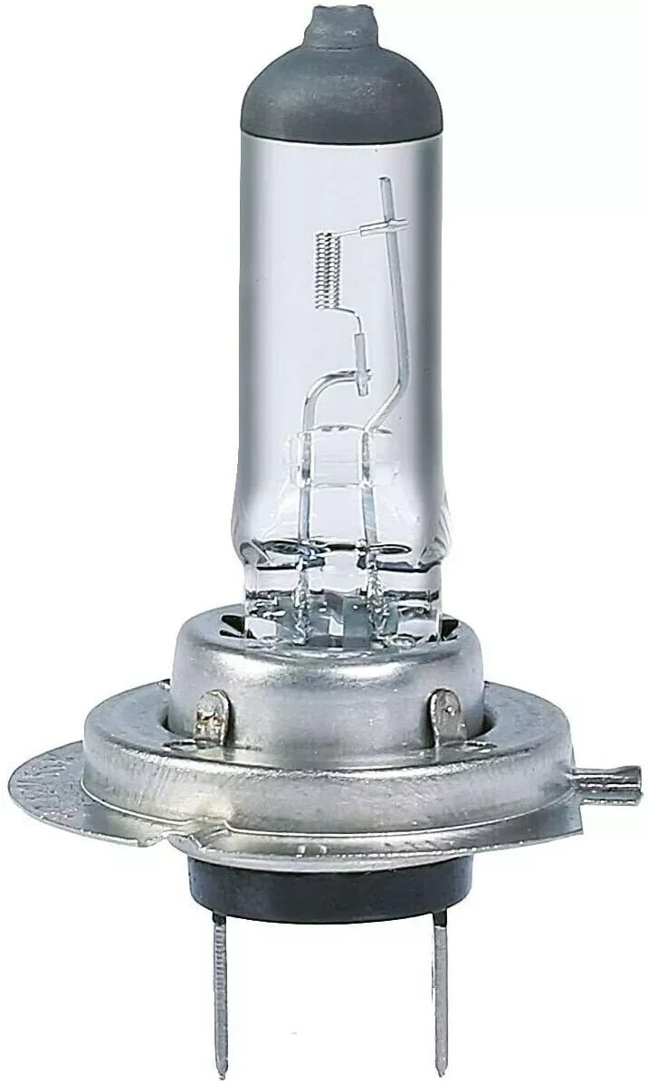 10 x H7 Bulbs 477 499 12v 55W PX26d Car headlight Halogen Van Bulbs – Quality