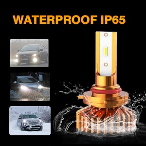 AUXBEAM 9005 9006 Hi-Low Beam LED Headlights Conversion Kit 880 Fog Bulbs White
