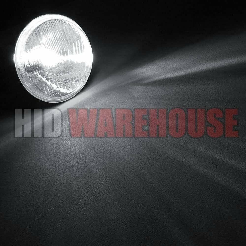 HID-Warehouse HID Xenon Bulbs – D2S / D2R / D2C – 5000K Bright White (1 Pair)
