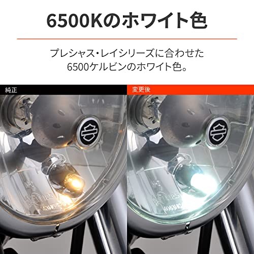 Daytona BELLOF Motorcycle LED T10 Position Lamps Approximately 270 Degree Beam
