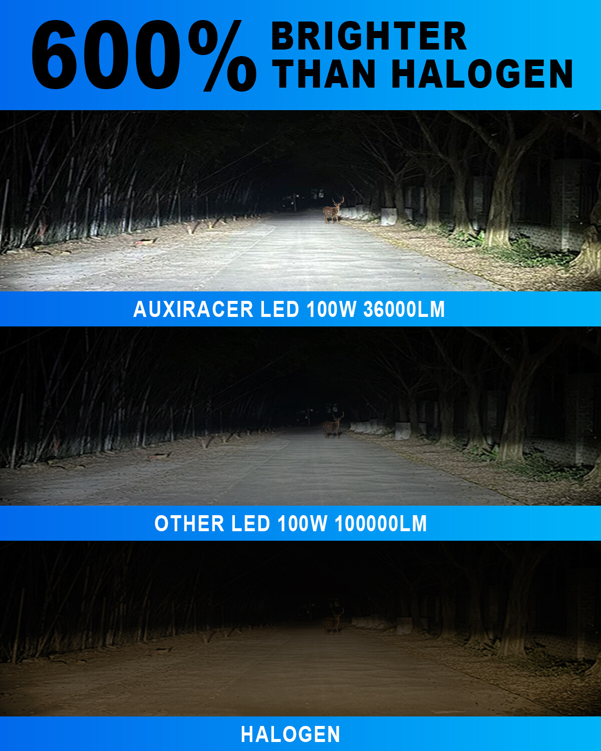 AUXIRACER H1 LED Bulbs Fog Lights Conversion Kits 100W Super Bright 6000K White