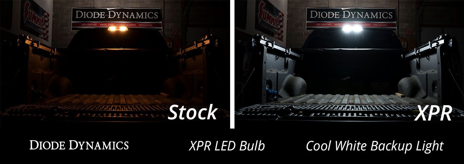 921 XPR Backup Bulbs Cool White Diode Dynamics 720 Lumens